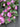Summer Pink Peony Wreath - TwoInspireYou