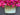 Magenta Tulip Bucket Wreath for Spring - Purple and Pink Tulips - TwoInspireYou