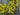 Yellow Daisy Meadow Wreath - TwoInspireYou