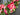 Pink Peony Summer Wreath for Front Door - TwoInspireYou