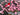 Cherry Blossoms Basket Wreath - Front Door Basket with Pink Blooms - TwoInspireYou