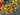 Color Burst Daisy Wreath - TwoInspireYou