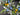 Spring Lemon Wreath with Blue Florals & Lamb's Ear – Citrus Wreath - TwoInspireYou
