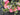 Summer Lush Pink Peony Wreath with Cascading Variegated Greenery - TwoInspireYou