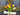 Spring Tulip Easter Cross – Orange, Yellow & Peach Moss Cross - TwoInspireYou