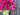Tulip Basket for Spring & Mother's Day - Charming Baskets for Mother's Day Gift Giving - TwoInspireYou