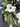Classic Magnolia Wreath - TwoInspireYou