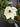 Classic Magnolia Wreath - TwoInspireYou