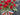 Red Poppy Patriotic Door Basket - TwoInspireYou