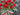 Red Poppy Patriotic Door Basket - TwoInspireYou