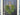 Cascading Fern Wreath - Year Round Fern Wreath Door Hanging - TwoInspireYou
