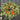 Summer Oranges Citrus Wreath - TwoInspireYou