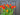 Real Touch Tulips - Orange Tulip Garden Bucket Wreath - TwoInspireYou