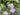 Summer Pink Peony Garden Wreath with Lush Greenery - TwoInspireYou