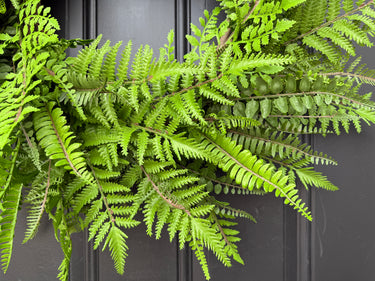 Year Round Fern Wreath - TwoInspireYou