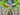 Olive Branch Wreath with Ribbon - TwoInspireYou