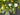 Flower and Greenery Wreath for Spring and Summer - TwoInspireYou