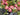 Pink Garden Peony Wreath with Cascading Variegated Greenery - TwoInspireYou