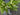 Lily of the Valley Fern Spring Wreath - TwoInspireYou