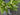 Lily of the Valley Fern Spring Wreath - TwoInspireYou