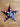 Americana Starburst Wreath with White Geranium Wreaths - TwoInspireYou