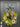 Sunflower Summer Wreath and Crabapple and Black Stripe Ribbon - TwoInspireYou