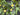 Summer Wreath with Yellow and Purple Flowers - TwoInspireYou