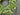 Extend an Olive Branch Wreath - TwoInspireYou
