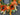 Fall Magnolia Wreath with Sunflowers and Pumpkins - TwoInspireYou