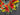 Bright Summer Floral Wreath for Front Door – Red Poppy, Yellow Craspedia & Orange Marigold - TwoInspireYou