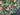 Elegant Pink Ranunculus Spring Wreath with Navy Stripe Bow – Front Door Decor - TwoInspireYou