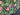 Elegant Pink Ranunculus Spring Wreath with Navy Stripe Bow – Front Door Decor - TwoInspireYou