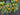 Artificial Citrus Wreath with Oranges & Lemons – Summer Door Wreath with Greenery & Blossoms - TwoInspireYou