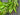 Everyday Willow Bay Leaf Wreath - TwoInspireYou