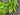 Everyday Willow Bay Leaf Wreath - TwoInspireYou