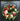 Front Door Fall Peony Wreath - TwoInspireYou