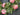 Summer Day Wreath with Pink Geraniums - TwoInspireYou
