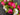 Radiant Pink and White Peony Wreath - TwoInspireYou