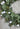 Spring Eucalyptus Wreath with Pink Ranunculus - TwoInspireYou