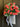Roses for My Lady - TwoInspireYou