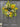 White and Yellow Sunflower Wreath
