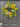 White and Yellow Sunflower Wreath