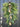 Christmas Pine Swag Wreath with Decorative Bells - TwoInspireYou