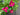 Clematis Tropical Summer Home Wreath - TwoInspireYou