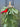 Winter Woodland Christmas Swag Wreath - TwoInspireYou
