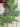 Classic Evergreen Christmas Window Wreath - TwoInspireYou