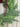 Classic Evergreen Christmas Window Wreath - TwoInspireYou