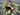 Jingle All the Way Christmas Pine Swag Wreath - TwoInspireYou