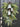 Silver Bells Christmas Pine Swag Wreath - TwoInspireYou