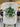 Frosted Mistletoe Bundle - TwoInspireYou